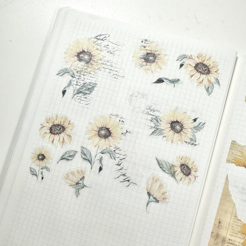 Transparent Matte Stickers - Scripts and Florals