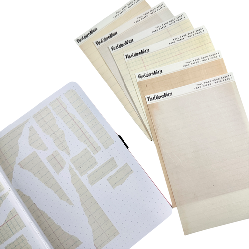 Transparent Matte Sticker Sheet - Torn Paper - Note Pages