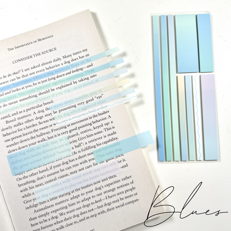 Highlight Strips - Squiggles & Ombres - Multi-sizes