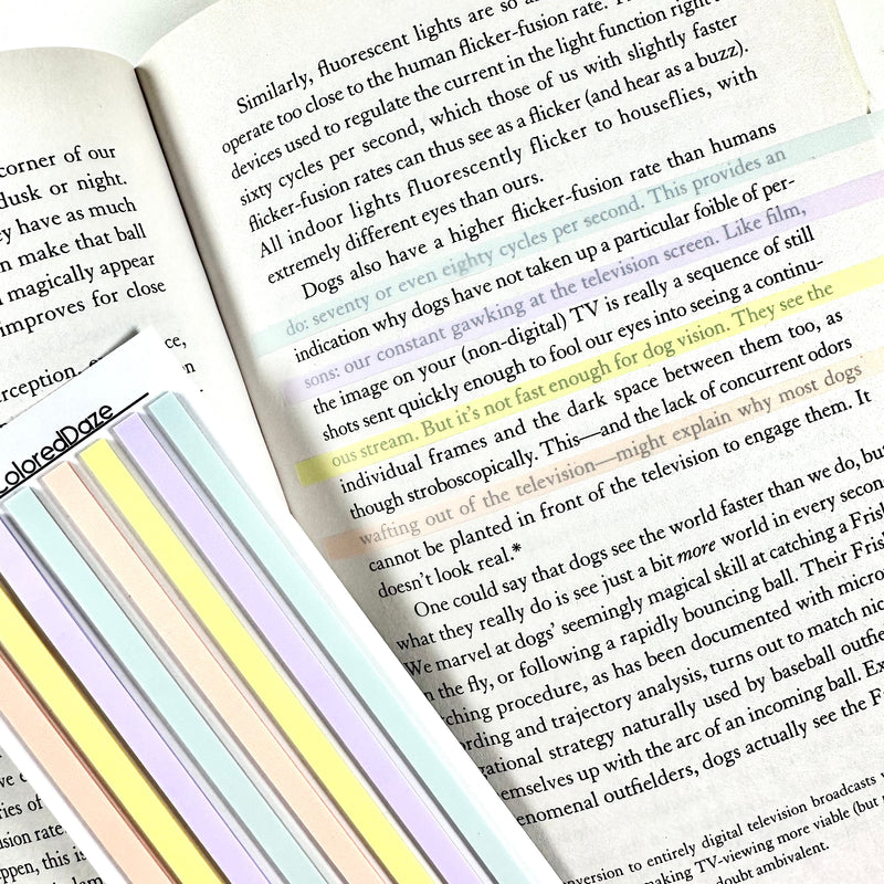Transparent Sticky Notes - LONG Highlight Strips - Multi Colors