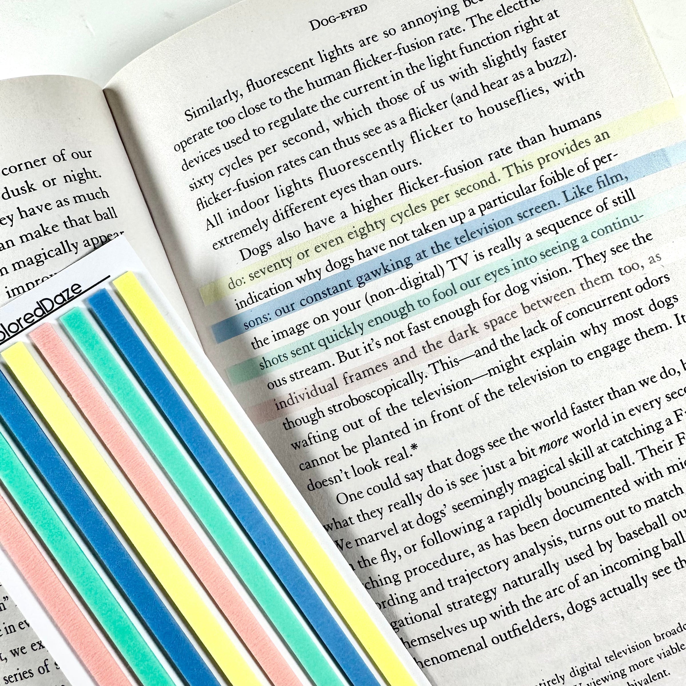 Highlighted Sticky Notes Transparent Sticky Notes - LONG Highlight Strips - Multi Colors – Rose ...